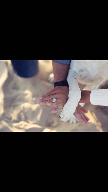 Show me your engagement pictures! - 5