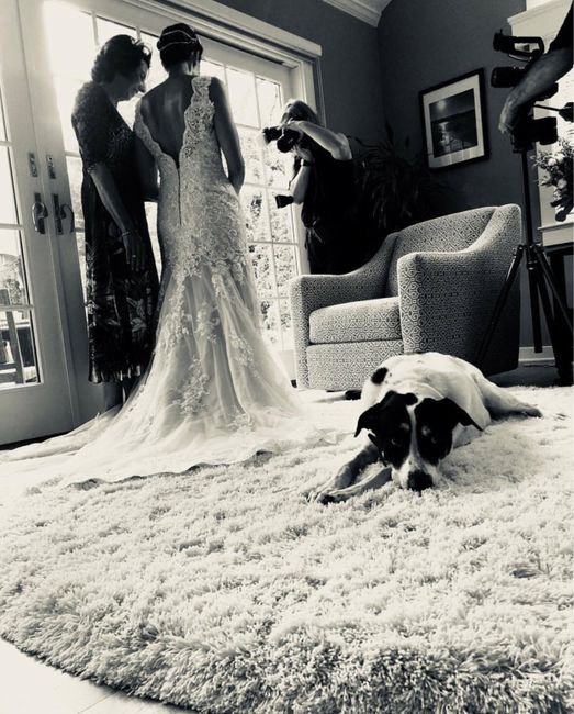 Wedding Gown Inspiration! -- Post your favorite gowns! - 2