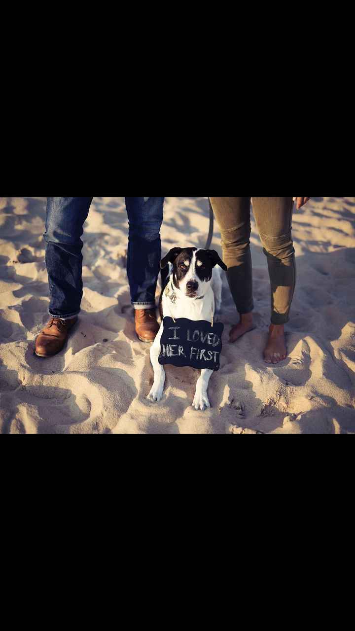 Show me your engagement pictures! - 4