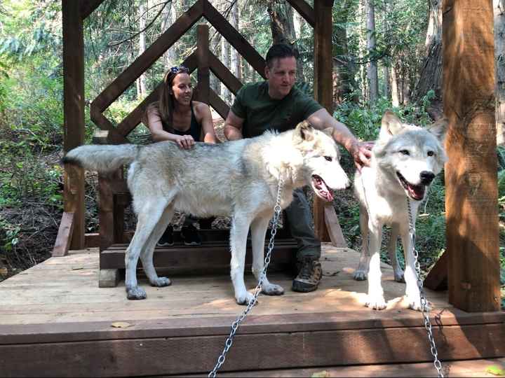 Non pro bam- minus a few - 12