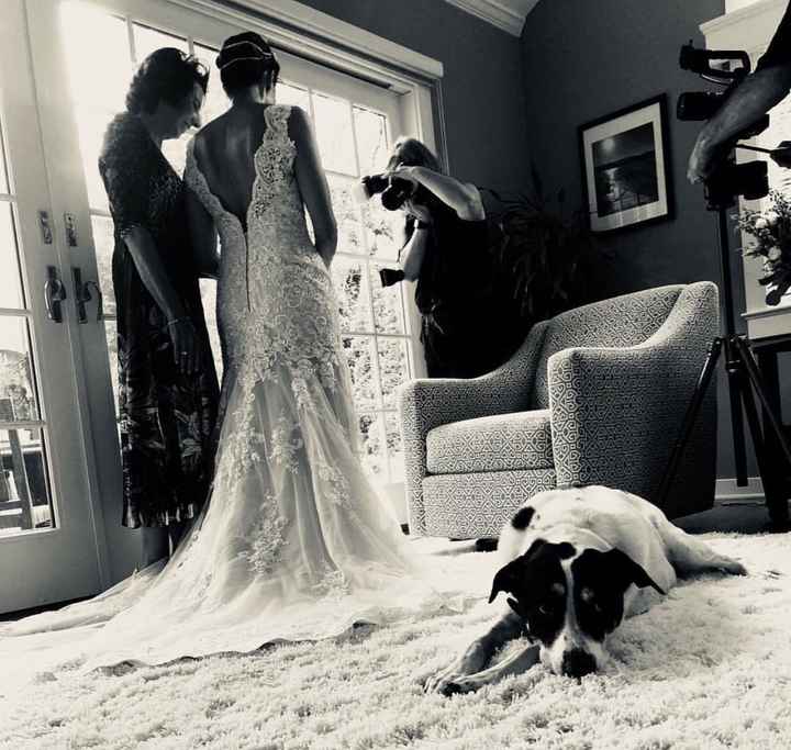 Show me your dress! - 1