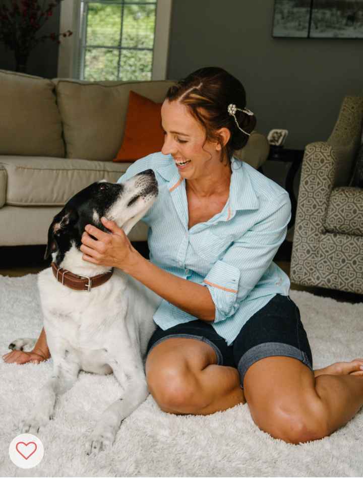 Fur Babies and Weddings! - 1