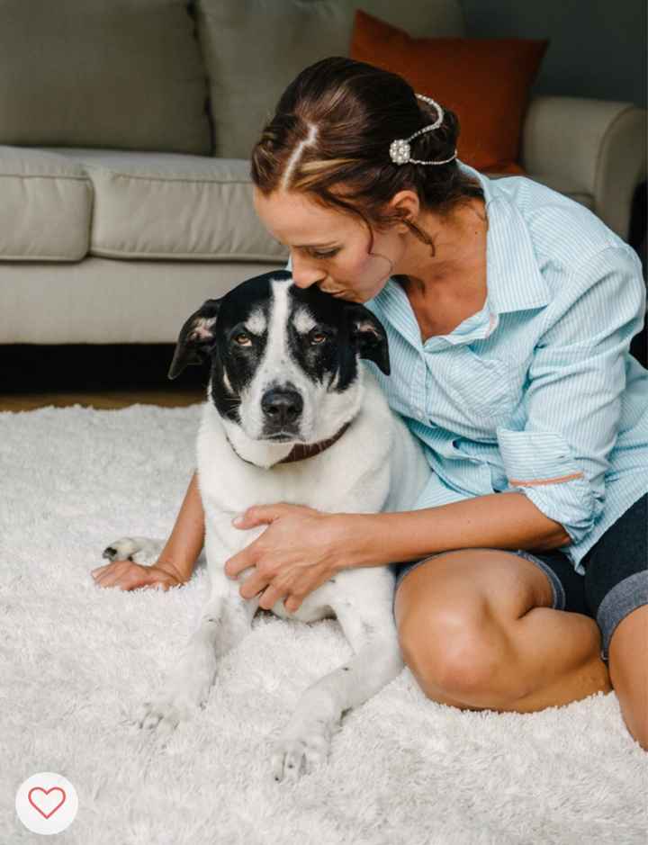 Fur Babies and Weddings! - 2