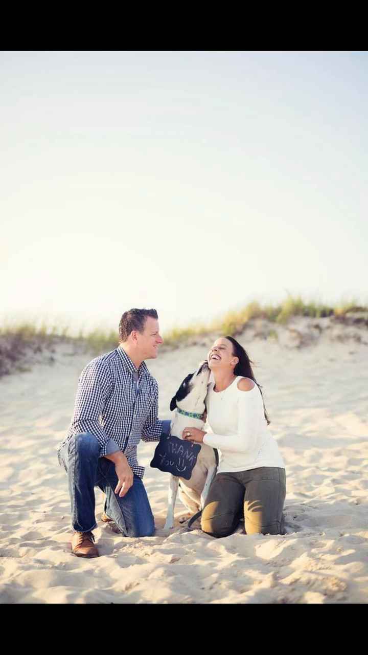 Advice for e-pics with a dog - 4