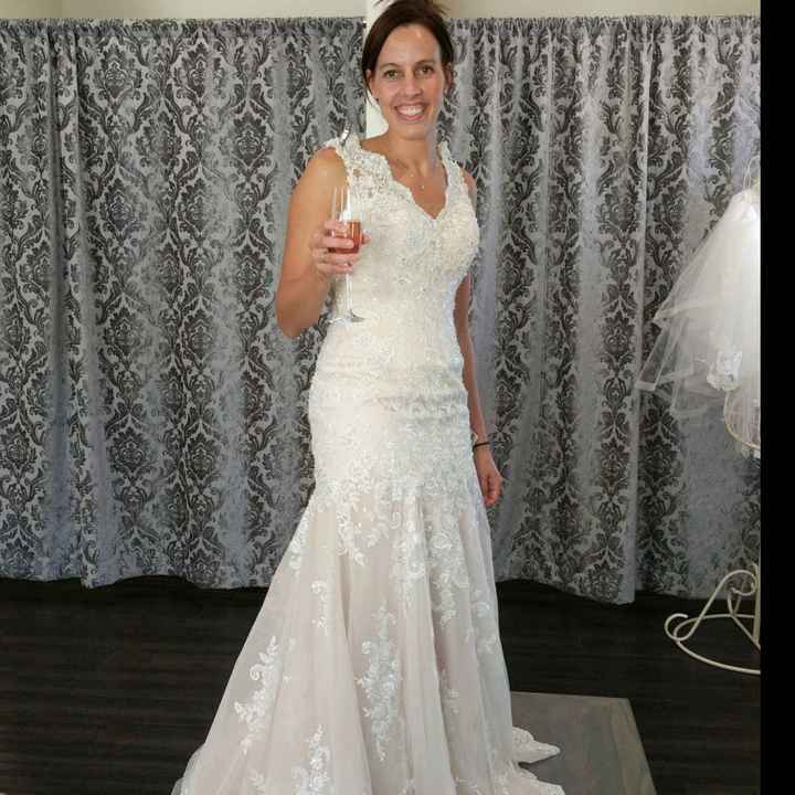 Wedding Dress Alterations - 1