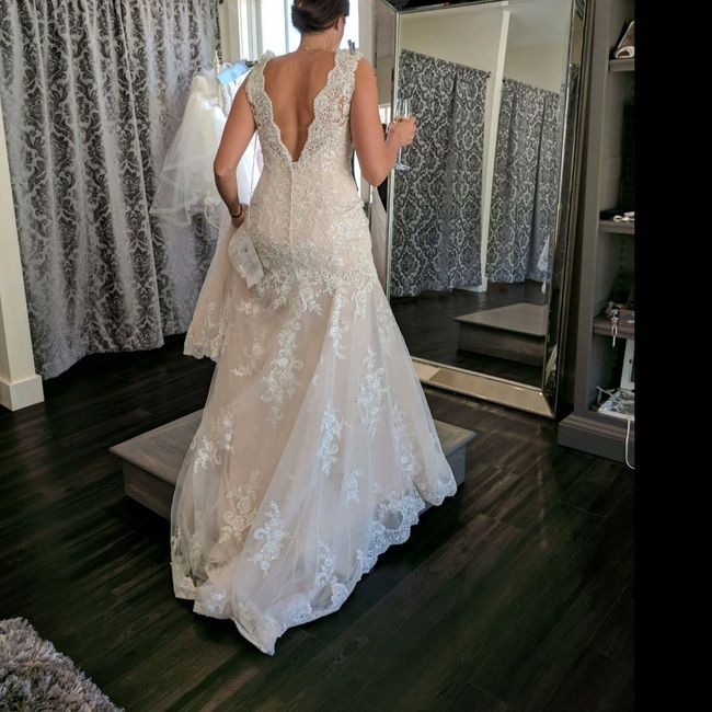 Dress shopping - 1