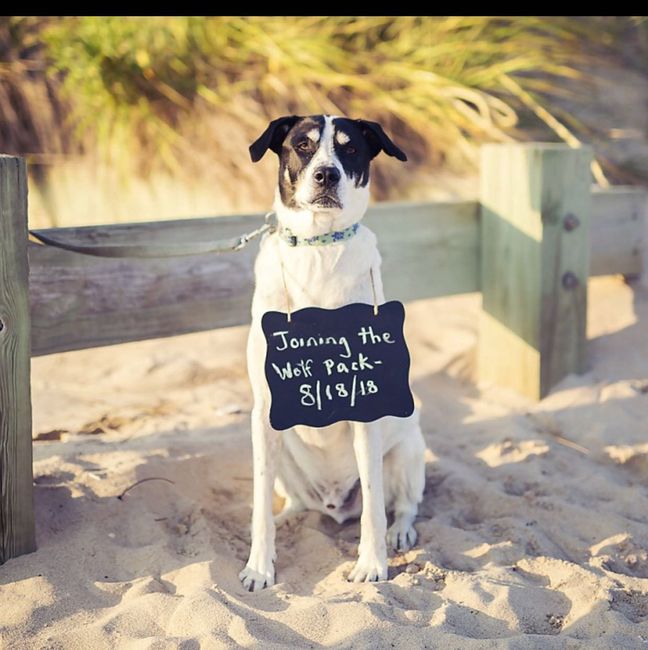 National Puppy Day! - 3