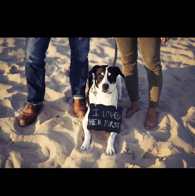 National Puppy Day! - 4