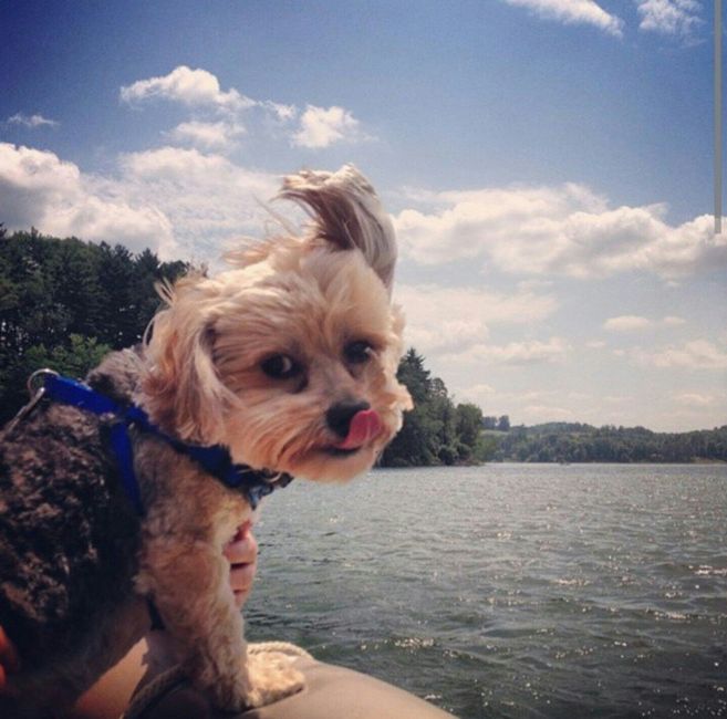 NWR: Happy Fursday!