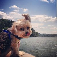 NWR: Happy Fursday!