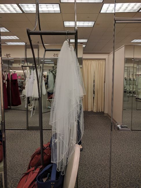 What style is your veil? - 2