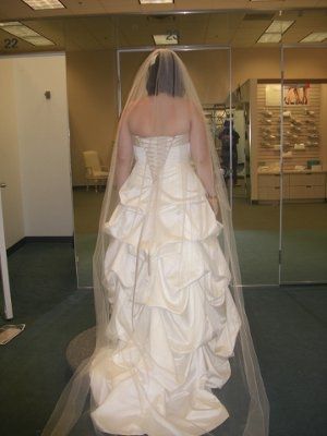 Ladies & Gents... I introduce You To... MY WEDDING DRESS!!!!