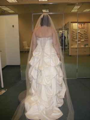 Ladies & Gents... I introduce You To... MY WEDDING DRESS!!!!
