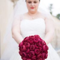 Bam! 3.30.19 photo heavy. - 3