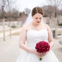 Bam! 3.30.19 photo heavy. - 5