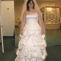 Ladies & Gents... I introduce You To... MY WEDDING DRESS!!!!