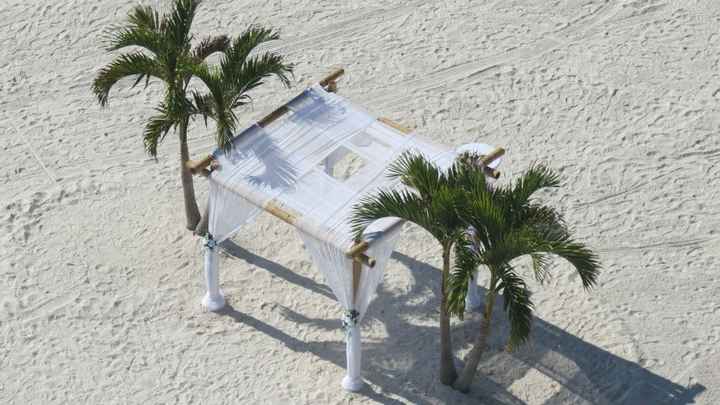 Bamboo Canopy Help!!