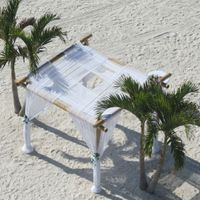 Bamboo Canopy Help!!