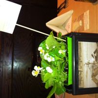 Showered with love... - pics!!!