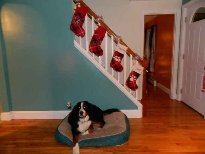 NWR: show us your xmas tree