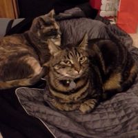 NWR: How could you even consider it?