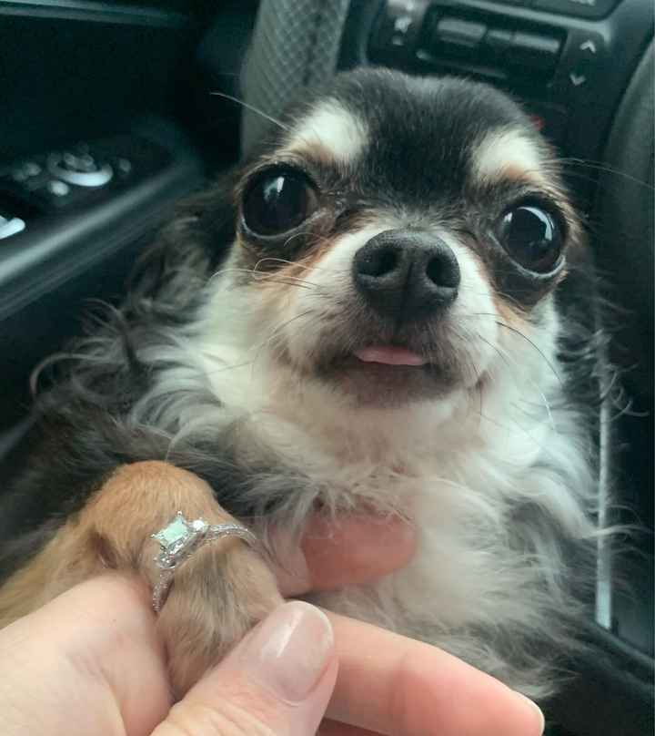 Show me your bling! - 1