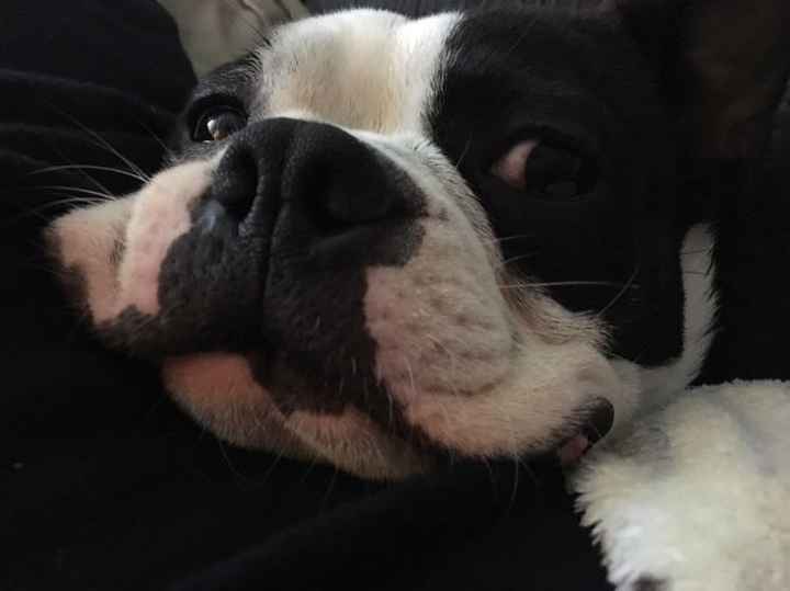 Nwr: puppy fever! (Pics included)