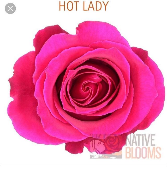 Let's talk flowers..