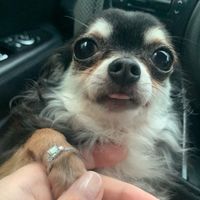 Show me your bling! - 1