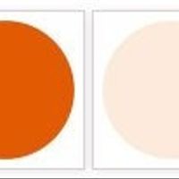 Fall Brides, what are your colors?