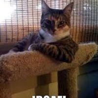 How many IDGAF moments you had until your wedding ?