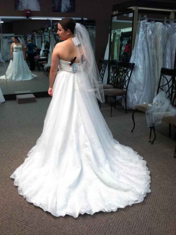 I said "yes" to the dress! :)