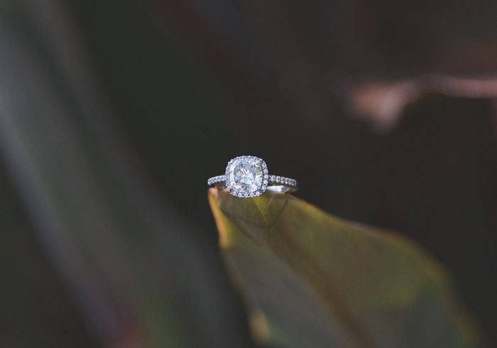 I did my own photos!