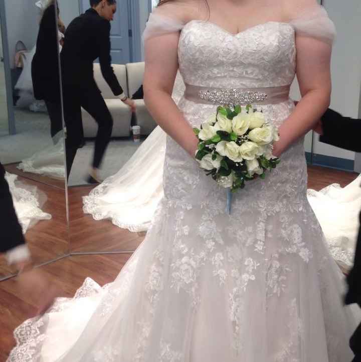 Sleeves or no sleeves