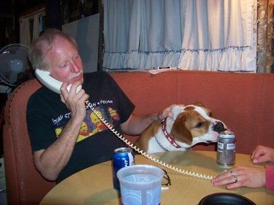NWR: What kind of dog do you have?