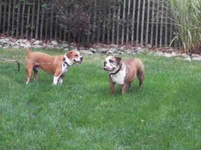 SWR: Who has done or is planning to do this before their wedding?