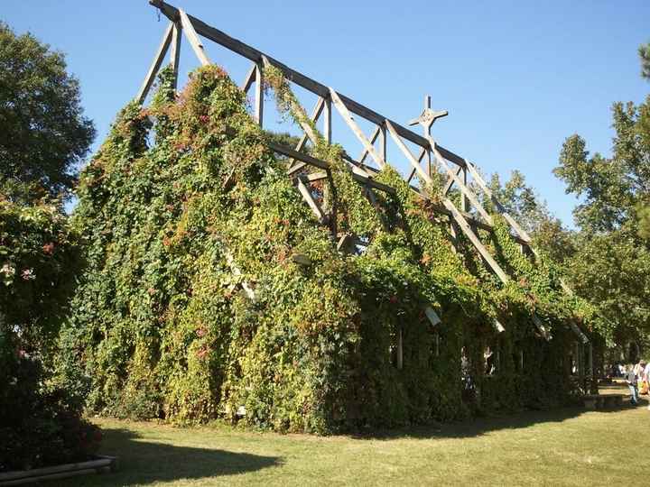 My turn!  I'm back and married!!  *VERY pic heavy!*