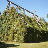 My turn!  I'm back and married!!  *VERY pic heavy!*