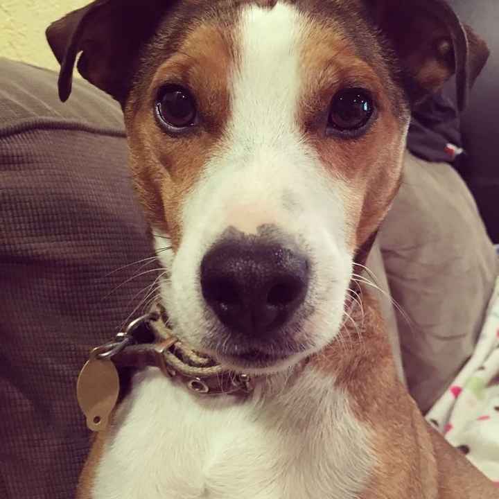 NWR: post pics of your pets!!