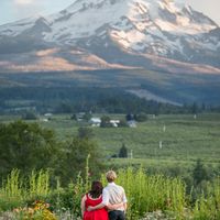 BAM-Literary wedding