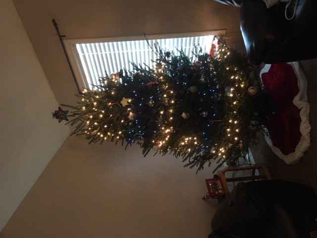 NWR: Finally finished decorating our first Christmas tree!!