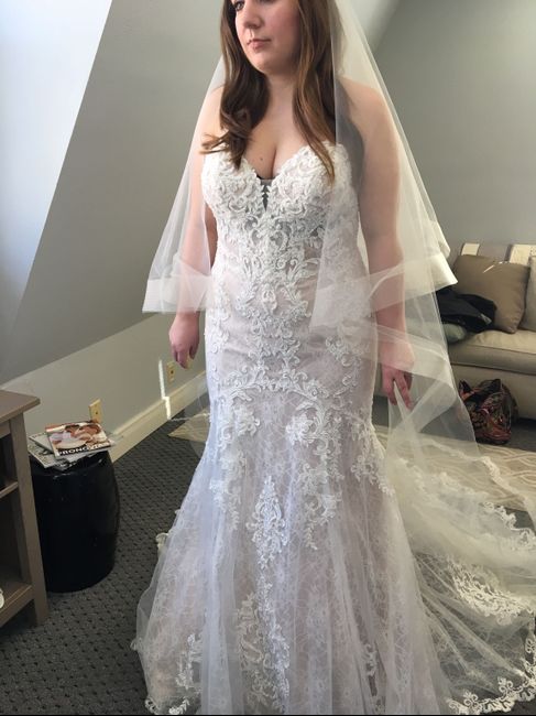 My Dress Came In!!! - Please share yours 😆 - 1
