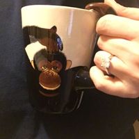Shameless Mug/Engagement Ring Pics!