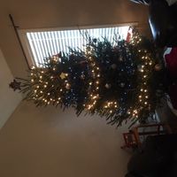 NWR: Finally finished decorating our first Christmas tree!!