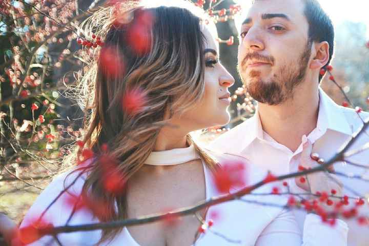 Listened to you wonderful ladies  (Extremely pic heavy)