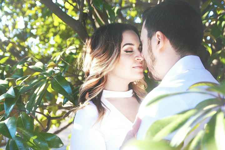 Listened to you wonderful ladies  (Extremely pic heavy)