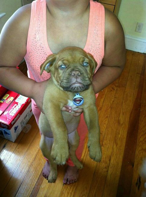 NWR we got our puppy today!