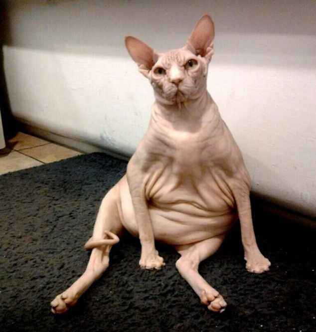 Guys, my boudoir shoot!