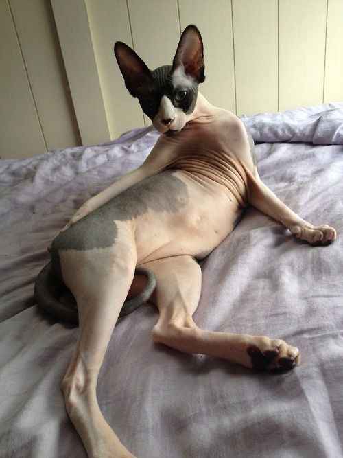 Guys, my boudoir shoot!