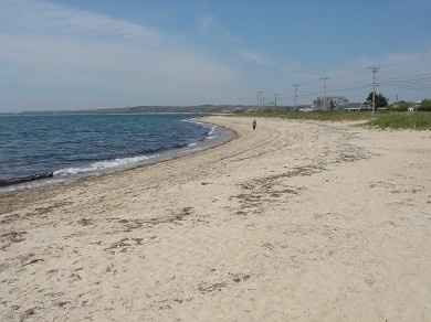 Cape Cod Brides